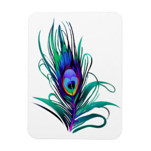 Imán Hermosa pluma de pavo real