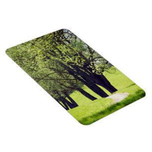 Imán Hermosa pradera