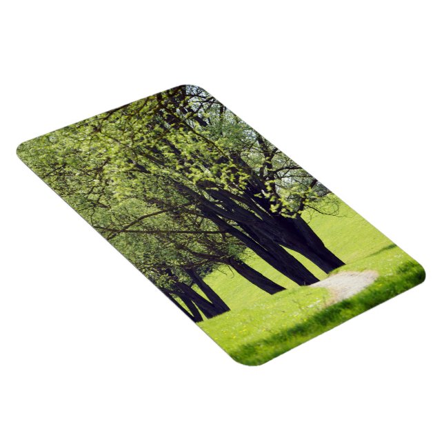 Imán Hermosa pradera (Lado Derecho)