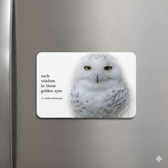 Imán Hermosa, soñadora y serena lechuza (Snowy Owl Magnet on Fridge Cover Photo)