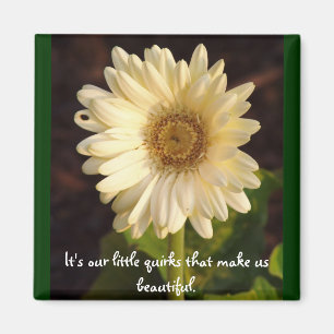 Imán hermosas ardillas