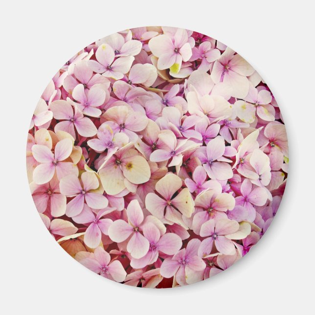 Imán Hermosas flores de Hydrangea (Frente)