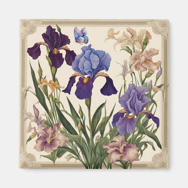 Imán Hermosas flores de Iris (Frente)
