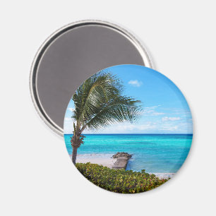 Imán Hermoso árbol de palma ventoso en la playa tropica