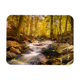 Imán Hermoso bosque otoñal