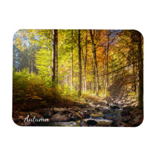 Imán Hermoso bosque otoñal con río