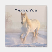 Hermoso caballo blanco en la foto de la nieve grac