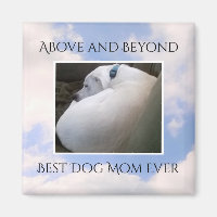 Hermoso cielo nublado Mejor Perro Mamá Calma Azul