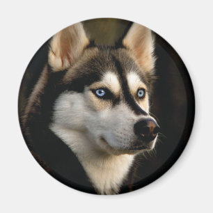 Imán Hermoso Cojín decorativo Husky
