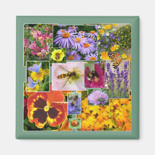 Imán Hermoso Collage de flores de verano e insectos