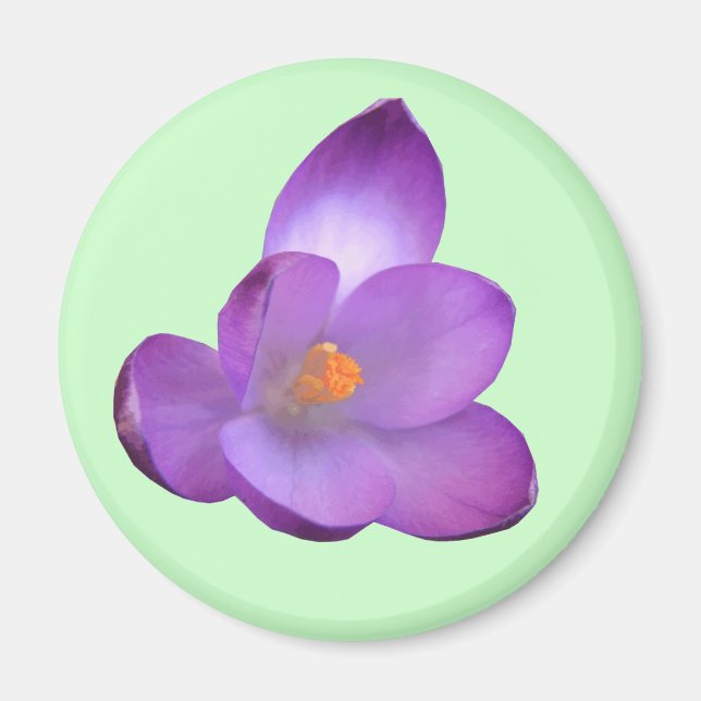 Imán Hermoso Crocus Magnet (Frente)
