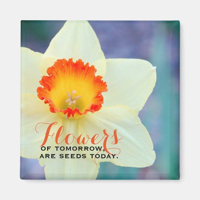 Imán Hermoso Daffodil Inspirador (Frente)