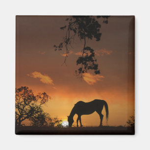Imán Hermoso Día Amanecer Con Caballo