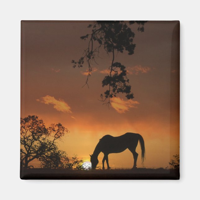 Imán Hermoso Día Amanecer Con Caballo (Frente)