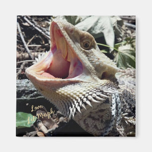 Imán Hermoso Dragón Barbudo Lil' Murph