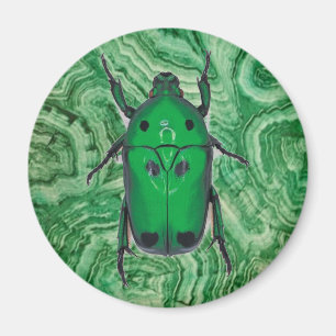 Imán Hermoso escarabajo verde en malaquita