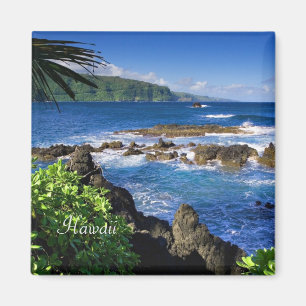 Imán Hermoso Hawái (etiquetado)