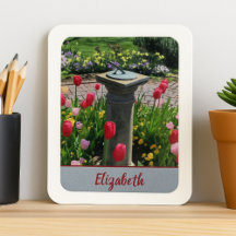 Hermoso jardín de flores