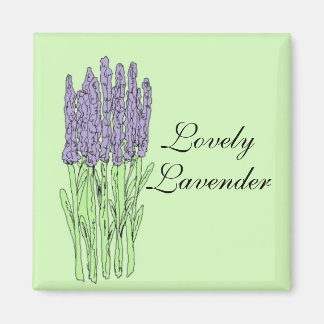 Imán Hermoso Lavanda