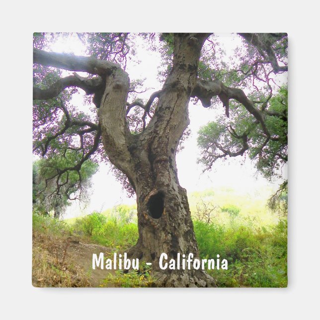 Imán ¡Hermoso Malibu Magnet! (Frente)