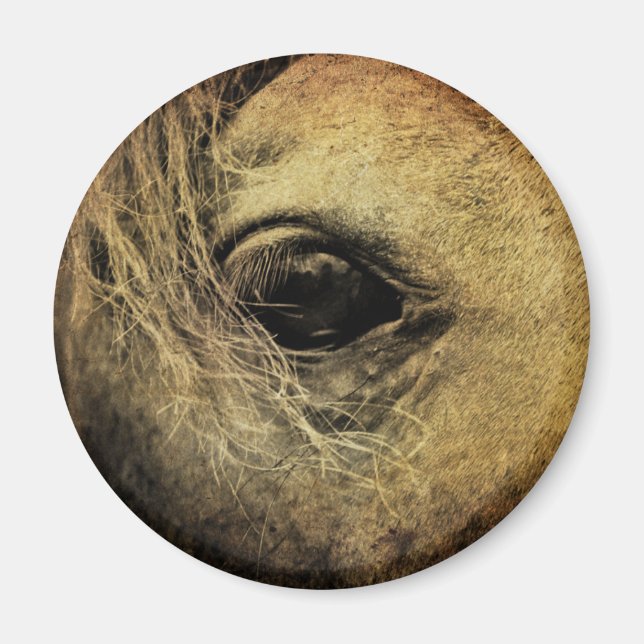 Imán Hermoso ojo de caballo negro (Frente)