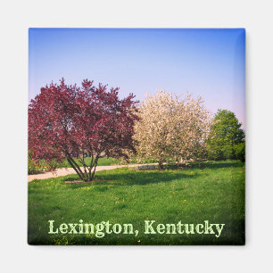 Imán Hermoso paisaje y árboles de Kentucky