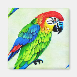 Imán Hermoso patrón de loro colorido