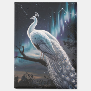 Imán Hermoso Pavo Blanco Aurora Borealis Escenario
