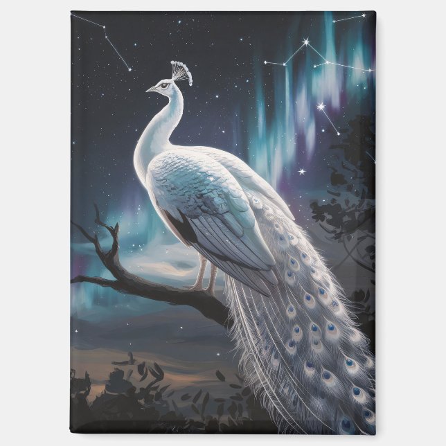 Imán Hermoso Pavo Blanco Aurora Borealis Escenario (Anverso)