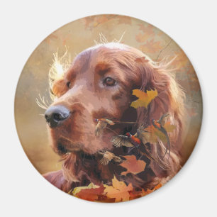 Imán Hermoso Red Setter Irlandés