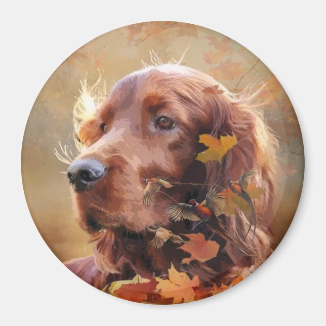 Imán Hermoso Red Setter Irlandés (Frente)