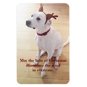 Imán Hermoso reno blanco cachorro Navidades de perro co