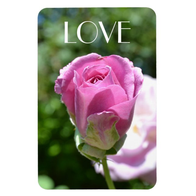 Imán Hermoso Rosa Bud Love Magnet (Vertical)