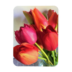 Imán Hermoso Tulip Bouquet