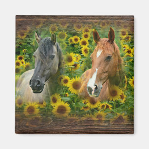 Imán Hermosos caballos en el campo de los girasoles