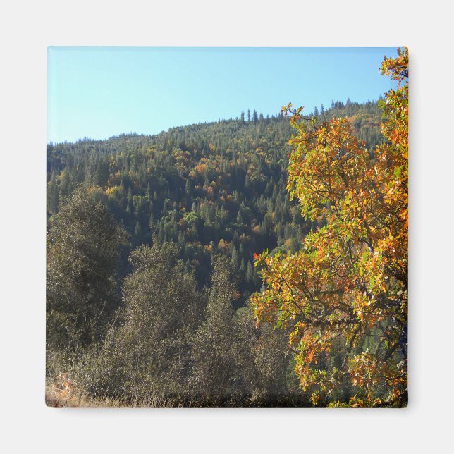 Imán Hermosos colores de otoño..... (Frente)