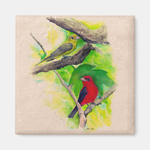 Imán Hermosos curtidores de cartón Aves Pintando