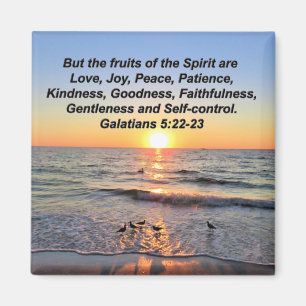 IMÁN HERMOSOS GALATIANOS 5