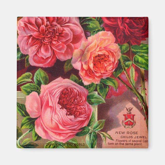 Imán Hermosos Rosas Vintage (Frente)