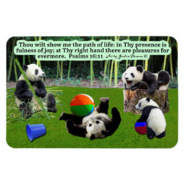 Imán Hermosos Salmos Magníficos Panda Scripture 16:11