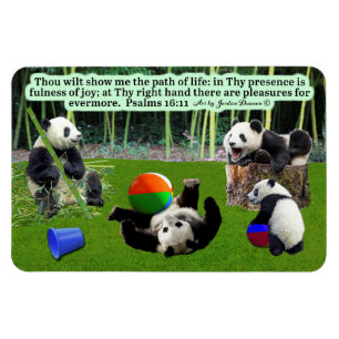 Imán Hermosos Salmos Magníficos Panda Scripture 16:11