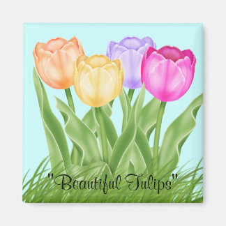 Imán Hermosos Tulips