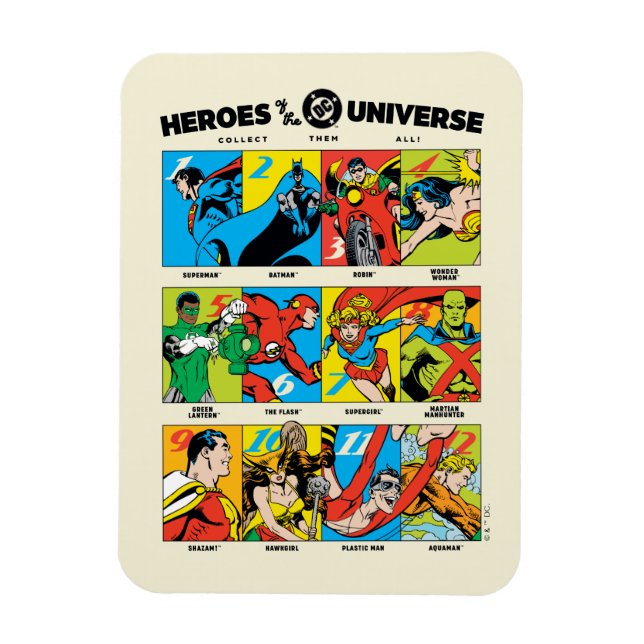 Imán Héroes del Universo DC™ (Vertical)