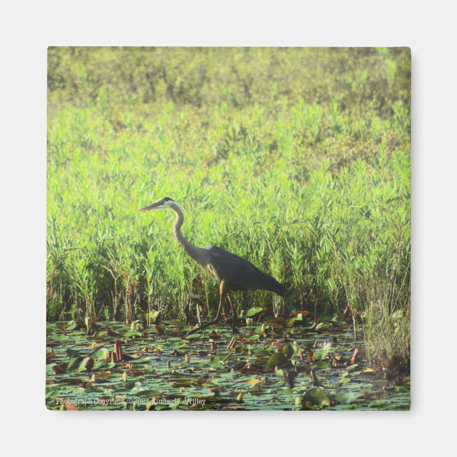 Imán Heron 6449 (Frente)