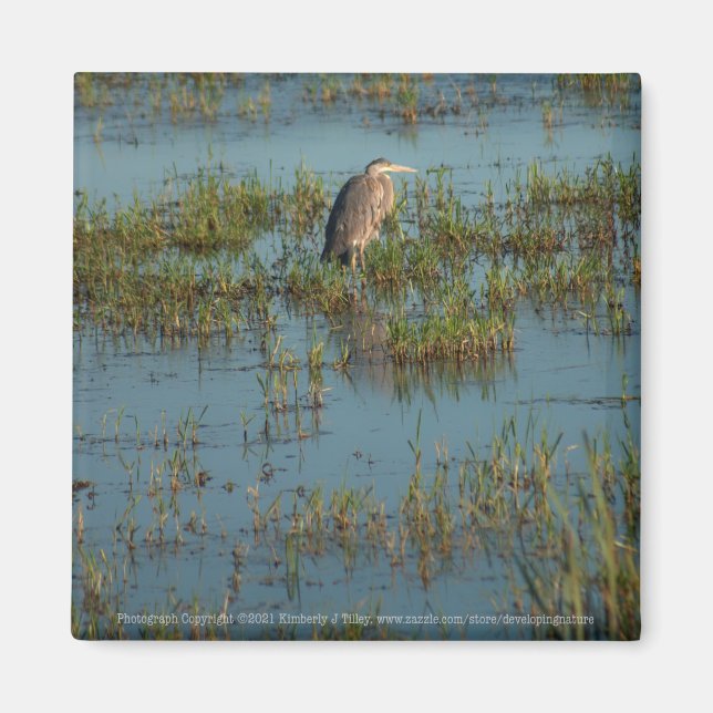 Imán Heron 6937 (Frente)