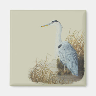 Imán Heron En Marsh Edge Magnet