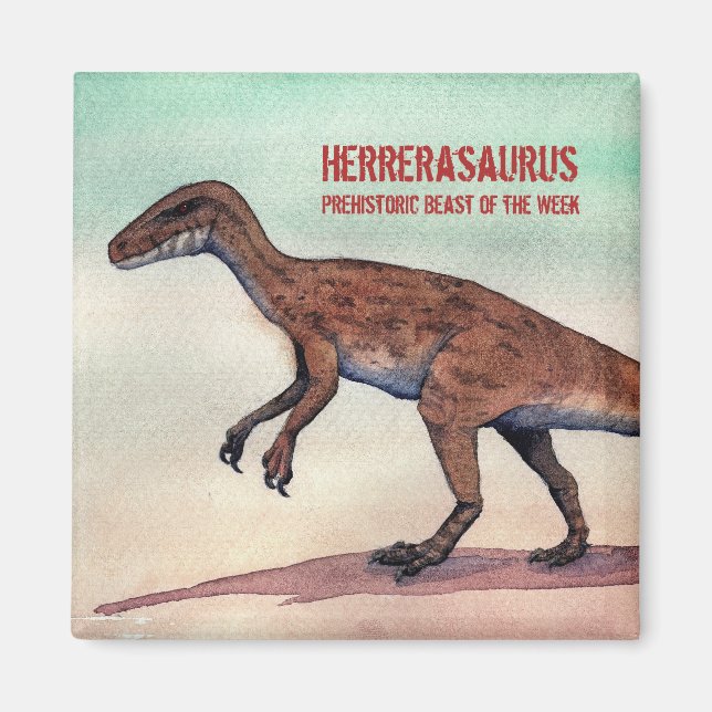 Imán Herrerasaurus Magnet (Frente)