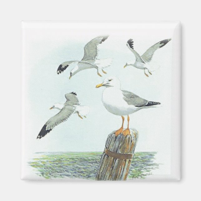 Imán Herring Gull Magnet (Frente)
