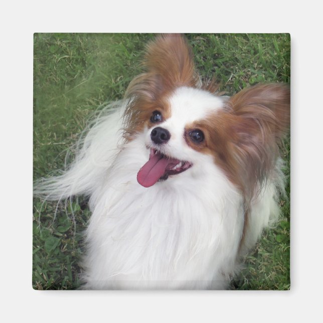 Imán Hershey Kiss Hero Kennel Merchandise (Frente)