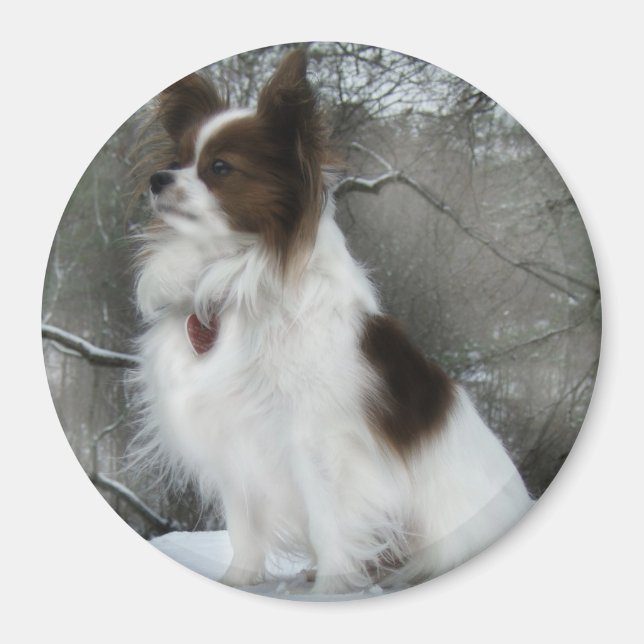 Imán Hershey Kiss Hero Kennel Merchandise (Frente)